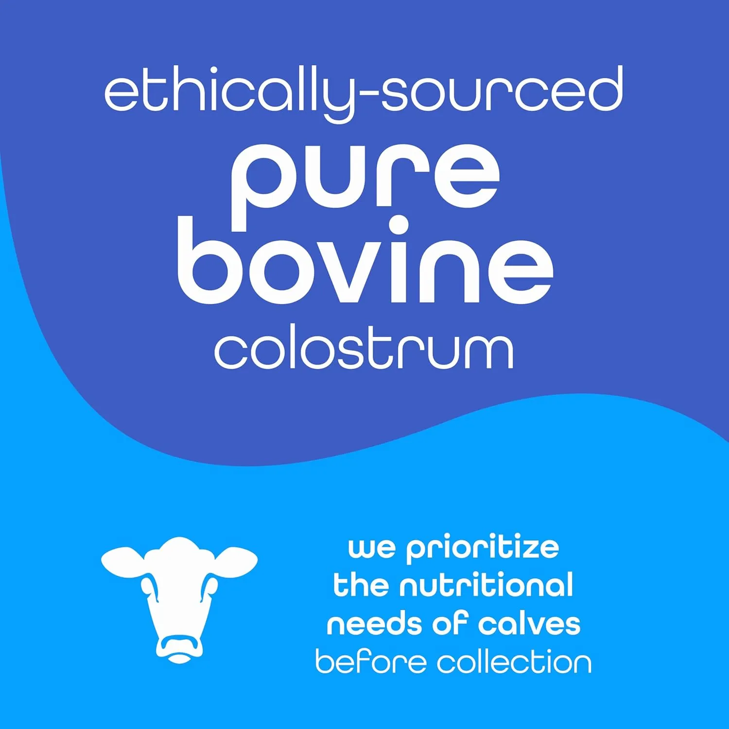 Bovine Colostrum Powder Supplement, 1000mg Pure Colostrum, Supports Immune and Digestive Health, Promotes Gut Health, Keto, Gluten Free, Fat Free, Grass Fed, Unflavored, 30 Servings