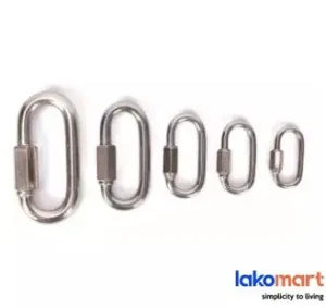 Carabiner W/ Lock Stainless Steel