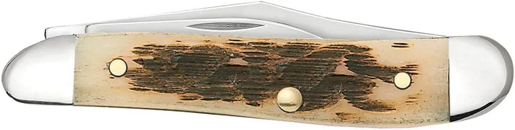Case XX WR Pocket Knife Peanut, Amber Bone Handle W/Sharpening Stone - (6220 SS) - Length Closed: 2 7/8 Inches