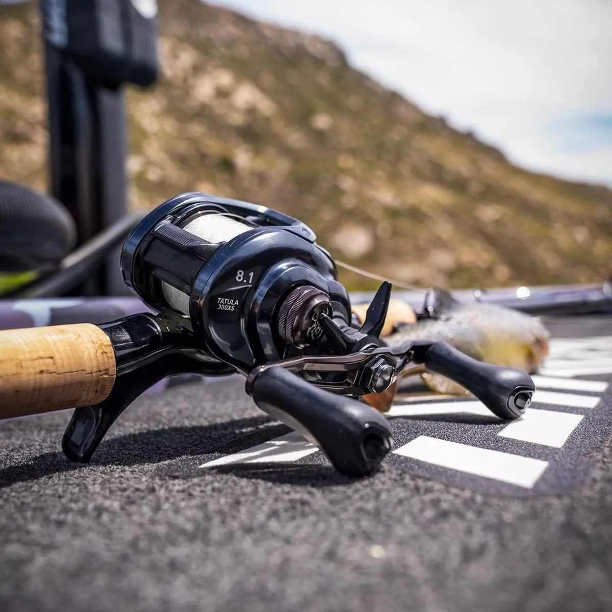 Daiwa CC80 Baitcasting Reel High Speed