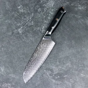 Damascus Steel Kitchen Knife 7 inch Santoku Knife Chef Knife G10 Handle Multi-function Fruit Knife