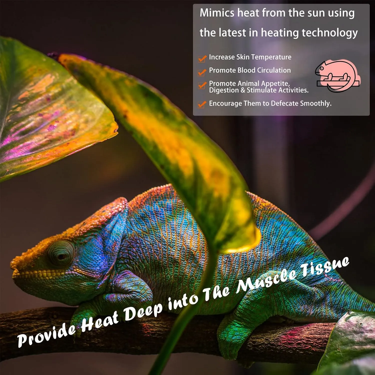 Deep Heat Projector Reptile Heat Lamp Bulb (DHP 100W, PAR30), Basking Light for Bearded Dragon & Leopard Gecko, Carbon Infrared Heater for Amphibian Pet