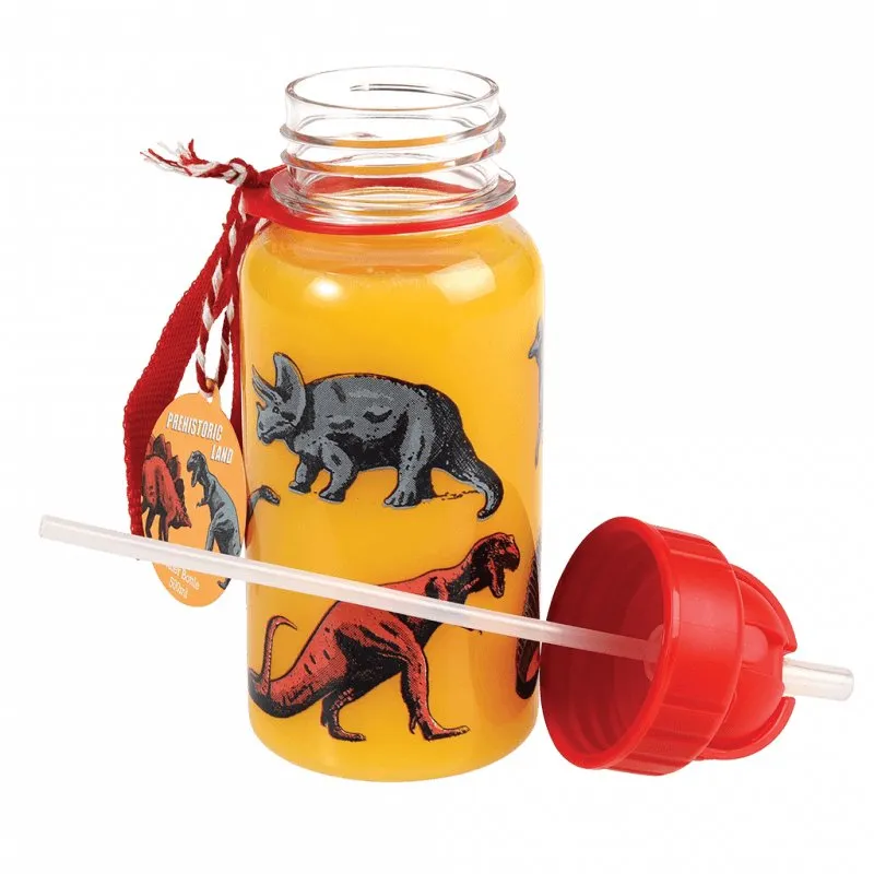 Dinosaur Kids Water Bottle