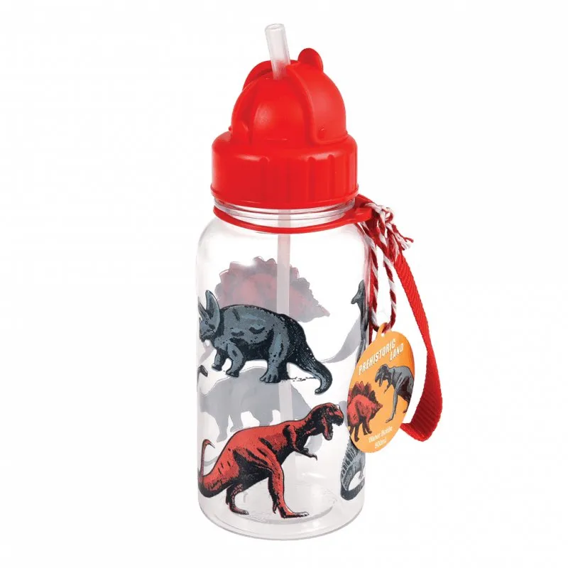 Dinosaur Kids Water Bottle