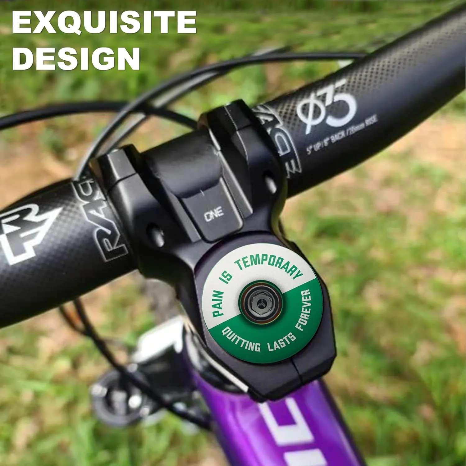 DISPATCH Pain is Temporary, Quitting Lasts Forever Bicycle Headset Cap - Customize Your Bolt - 6061 Aluminum Designed for 1 1/8" Steerer Tubes - Easy Installation & Durable Engraving or UV Printing