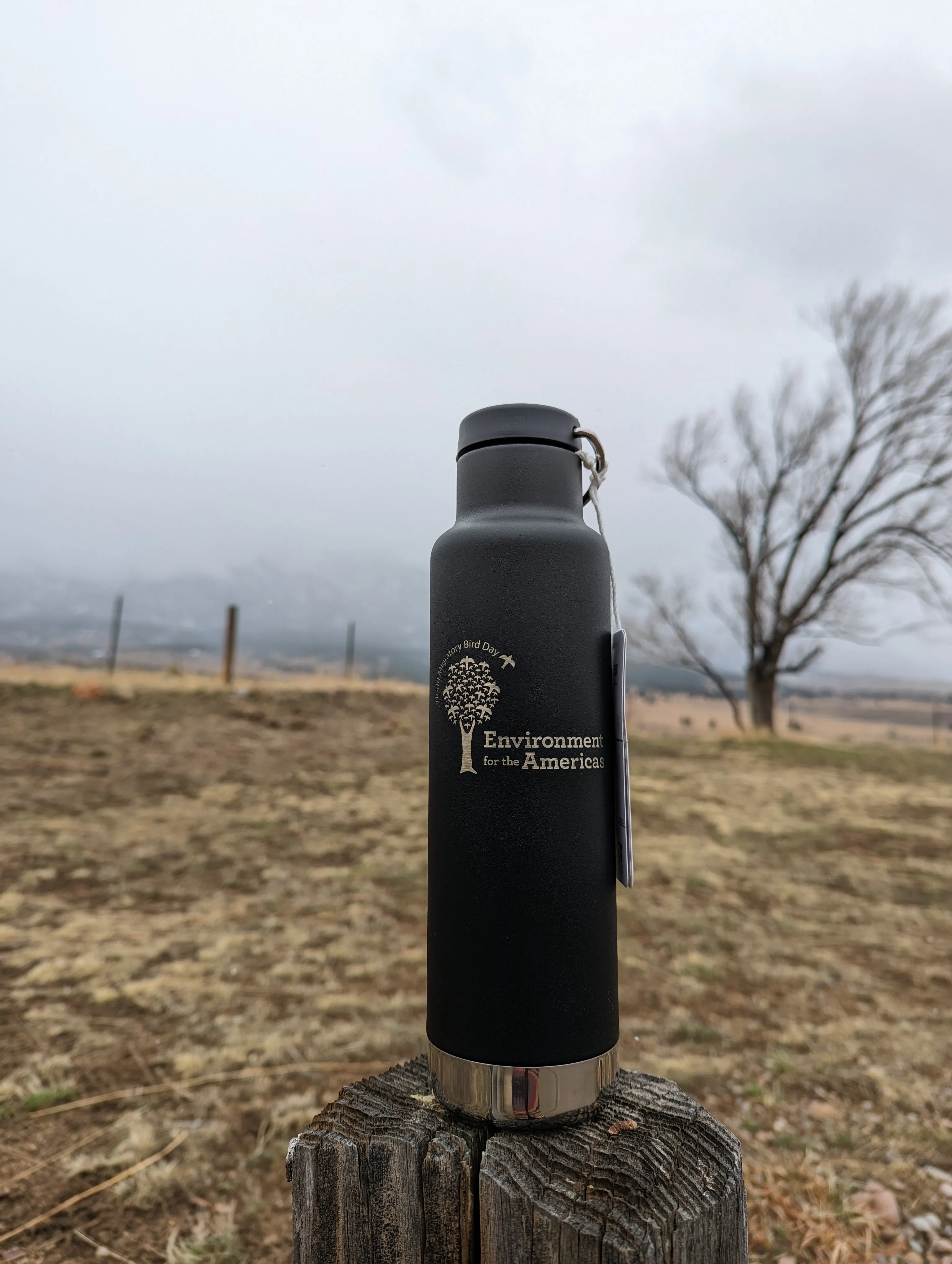 EFTA Steel Bottle