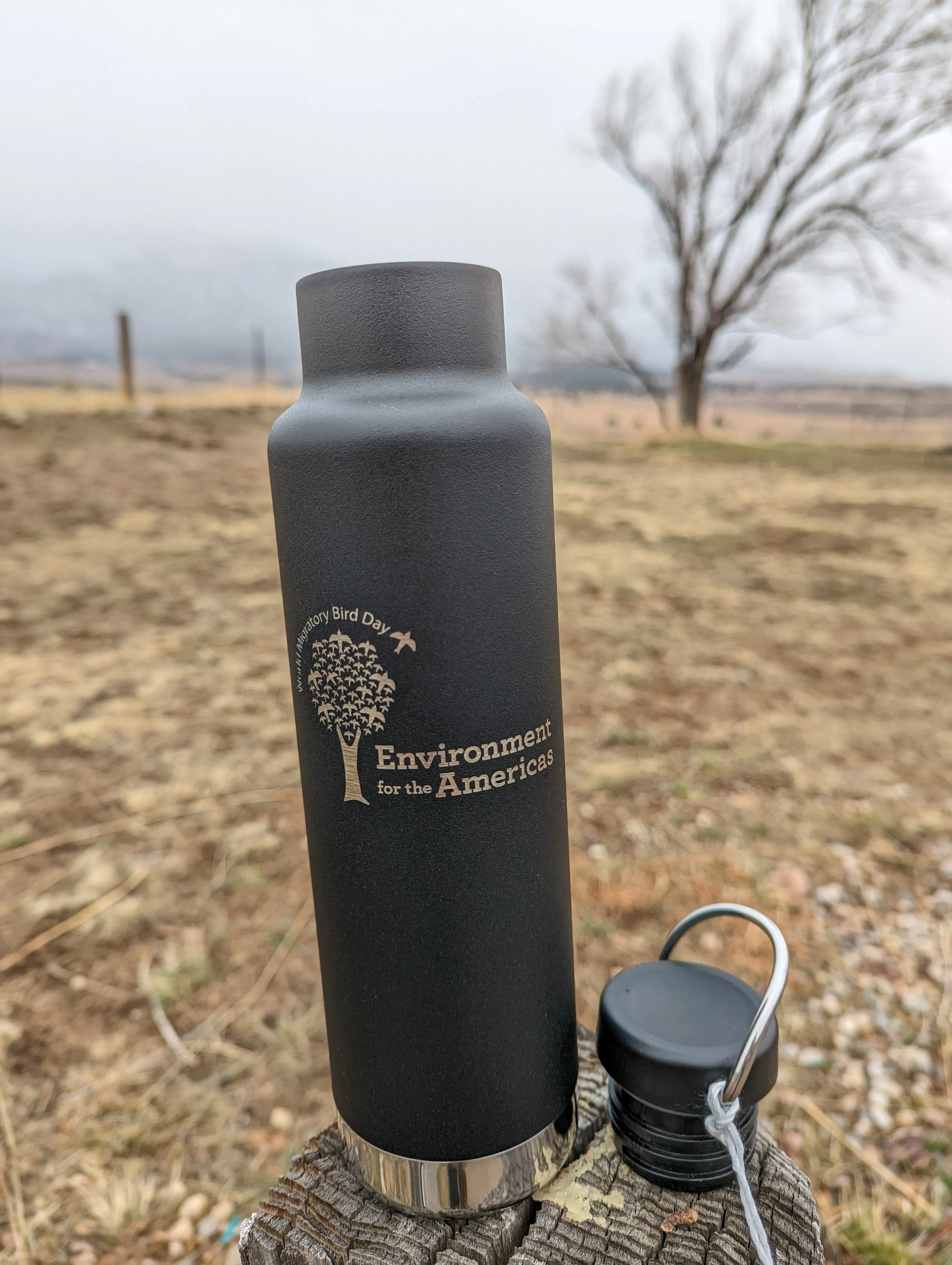 EFTA Steel Bottle
