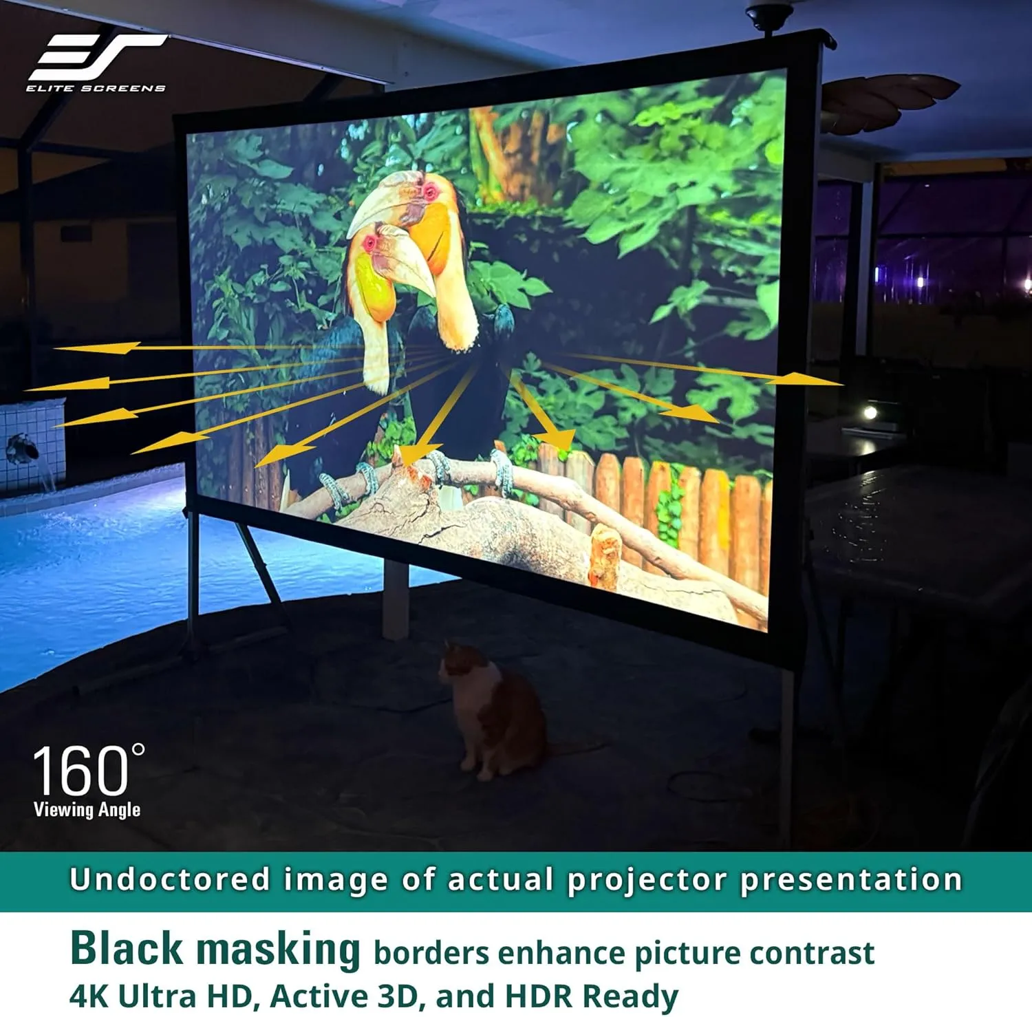 Elite Screens Yard Master 2, 110-inch Outdoor Portable Fast Folding Projector Screen w/ Stand 16:9, 8K 4K Ultra HD 3D Movie Theater Cinema REAR Projection, OMS110HR3, US Based Company 2-YEAR WARRANTY