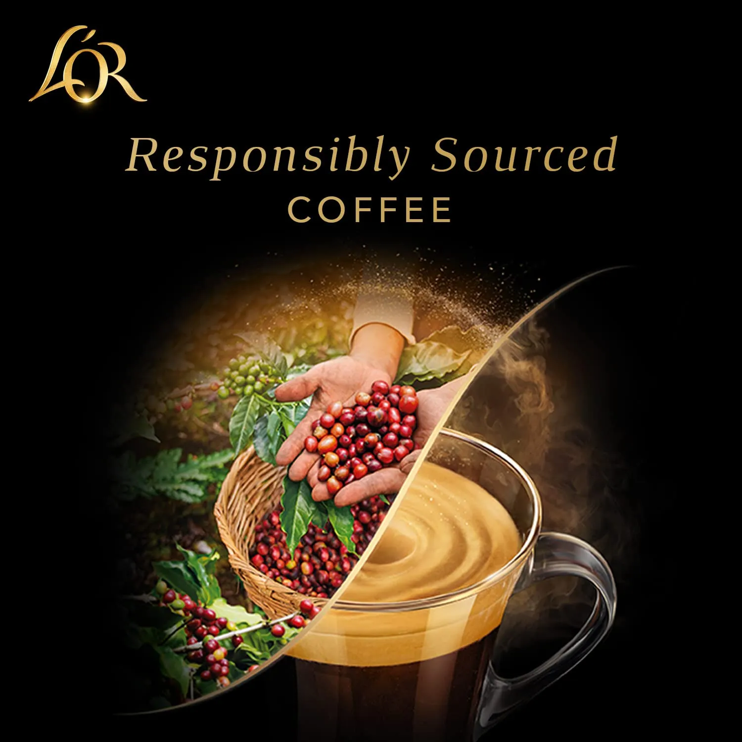 L'OR DECAF Espresso Capsules, 50 Count DECAF Ristretto, Single-Serve Aluminum Coffee Capsules Compatible with the L'OR BARISTA System & *Nespresso Original Machines