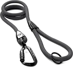 MADE TO ROAM Premium Explorer Leash - Climbing Rope Leash with Autolocking Aviation Aluminum Carabiner - New York Afterlight, 6ft