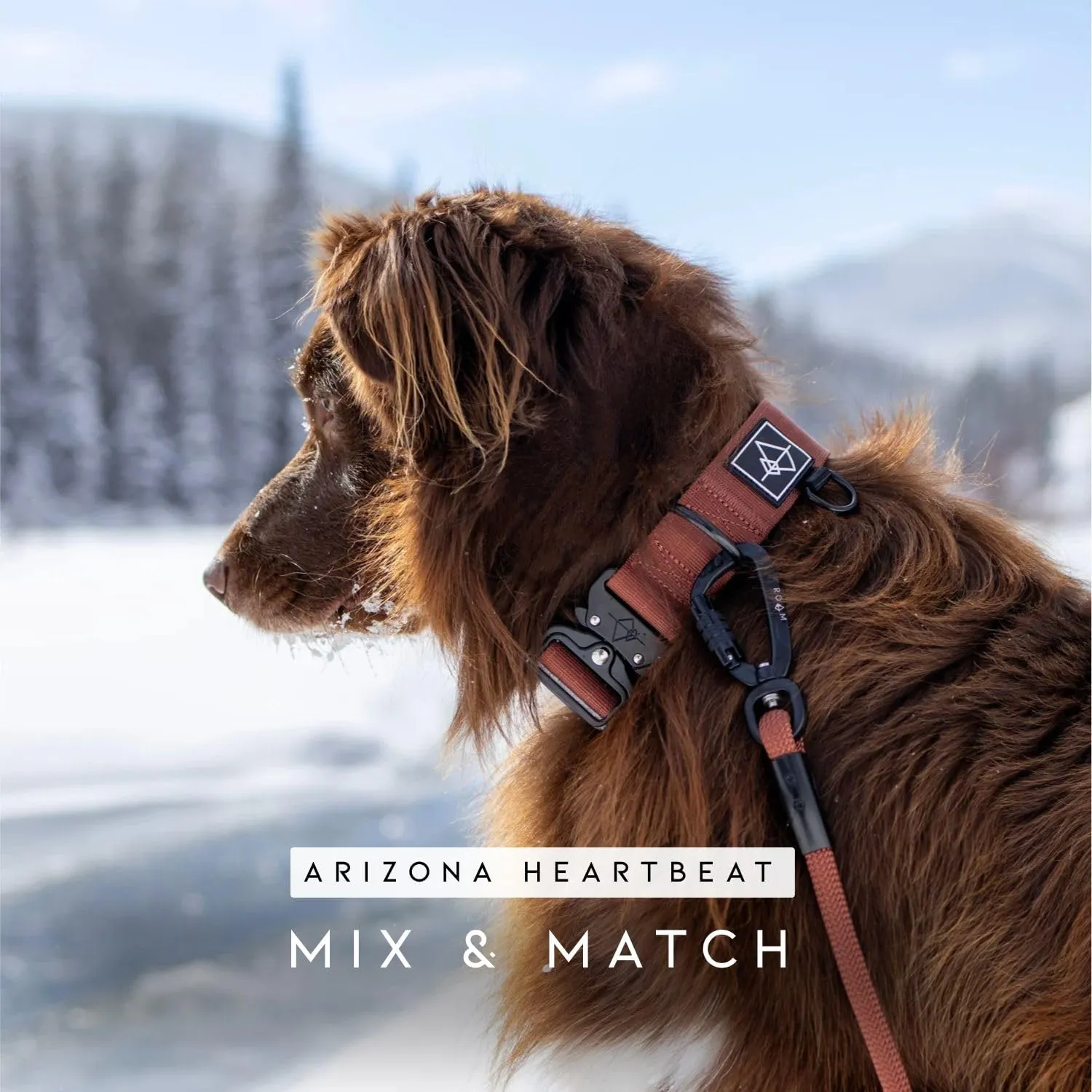 MADE TO ROAM Premium Explorer Leash - Climbing Rope Leash with Autolocking Aviation Aluminum Carabiner - New York Afterlight, 6ft