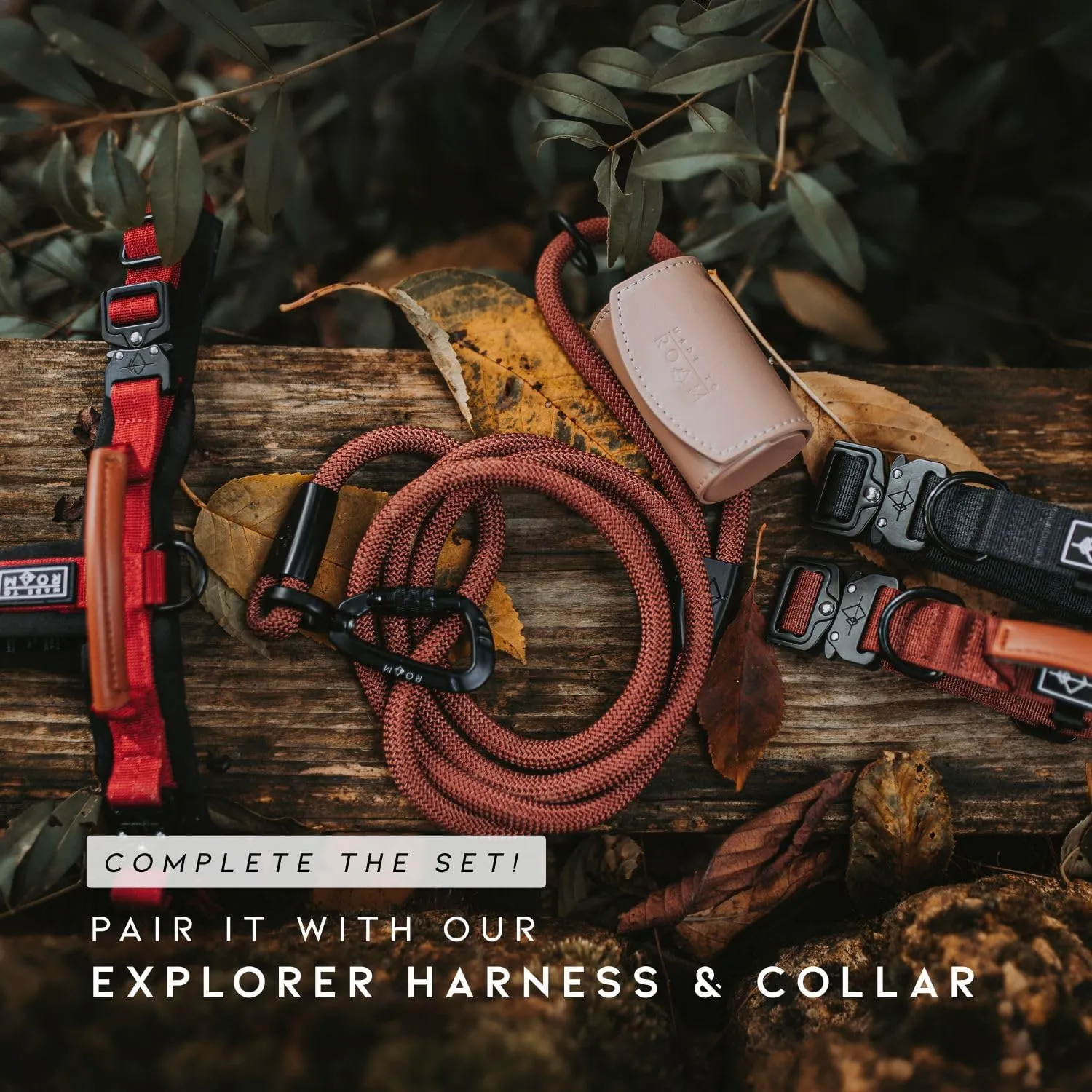 MADE TO ROAM Premium Explorer Leash - Climbing Rope Leash with Autolocking Aviation Aluminum Carabiner - New York Afterlight, 6ft