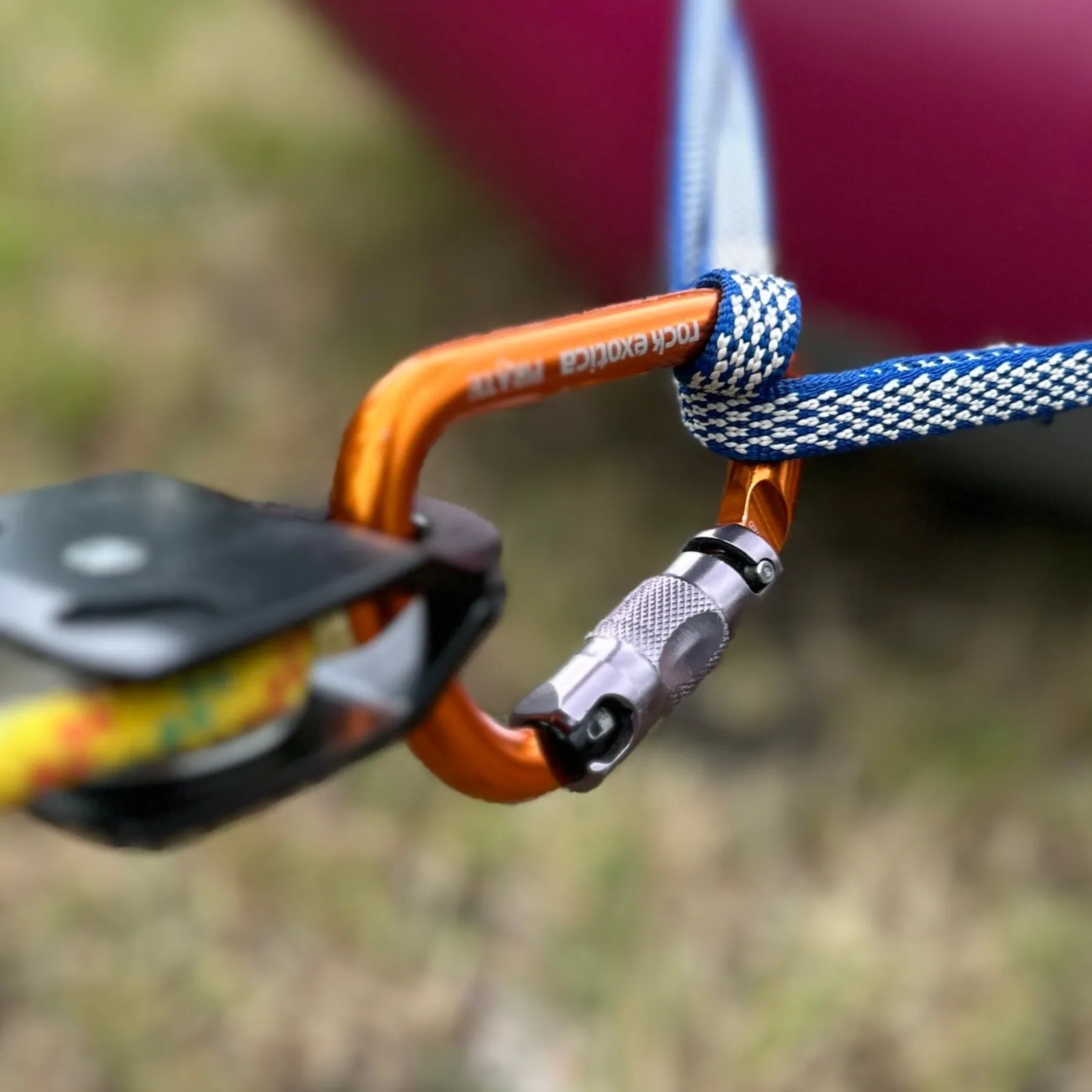 Pirate Auto-Lock Carabiner