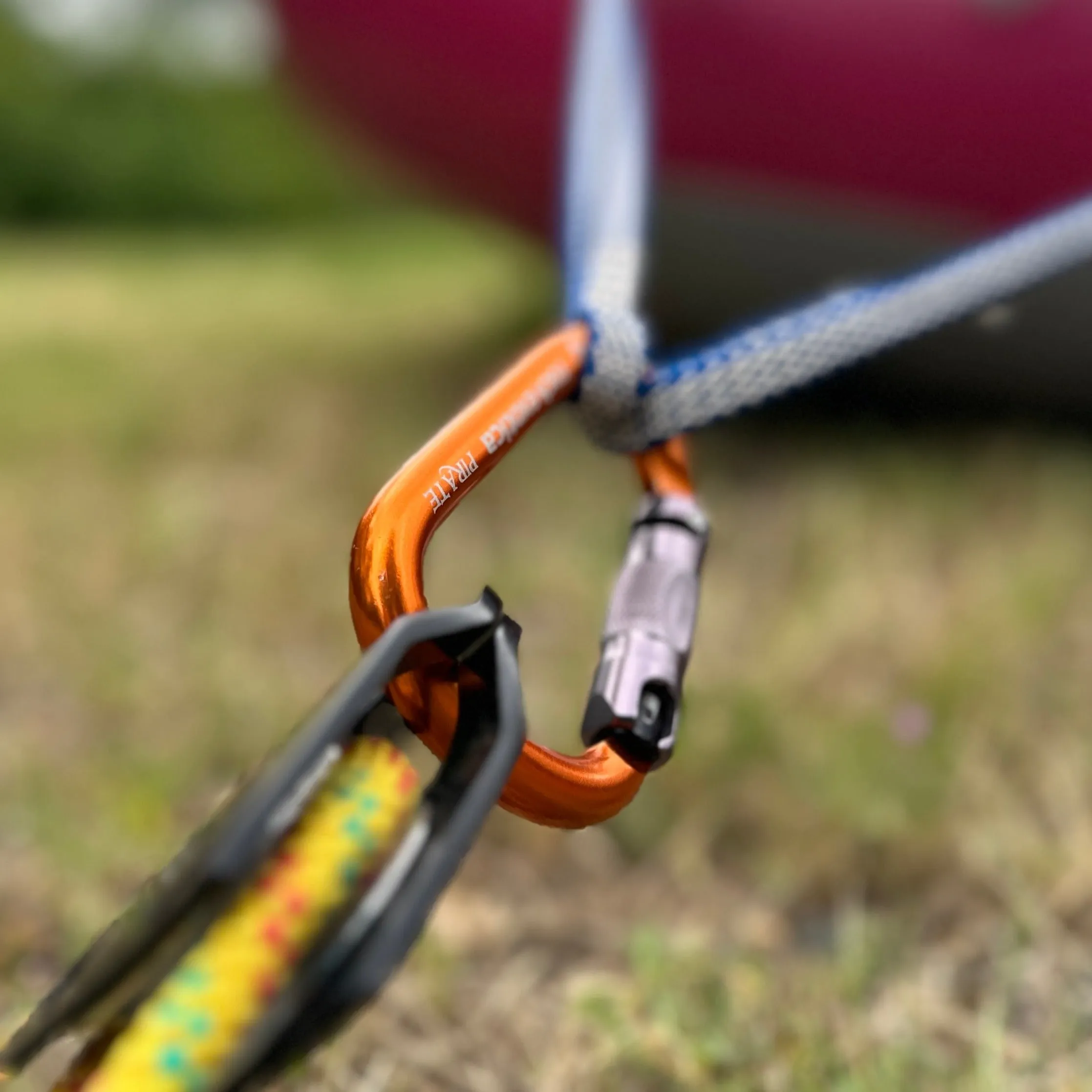 Pirate Auto-Lock Carabiner