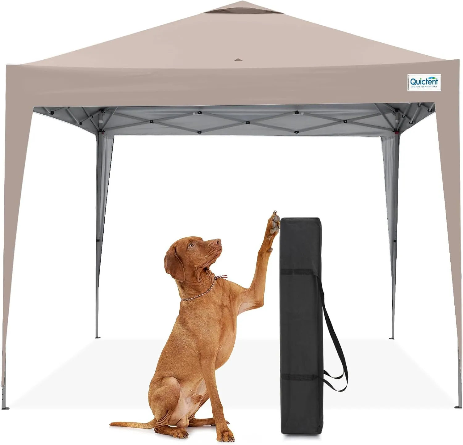 Quictent 10x10 Pop Up Canopy Tent