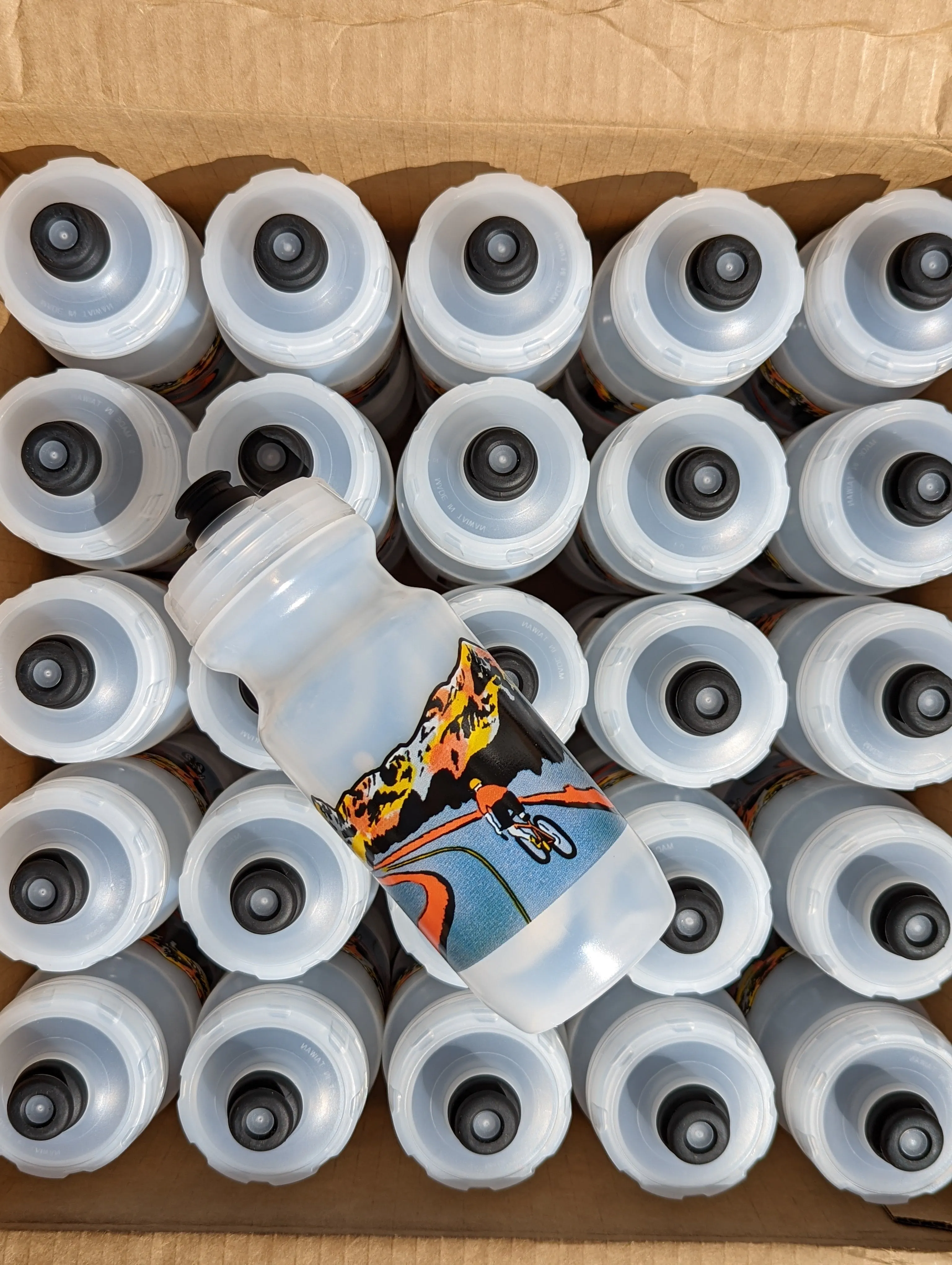 Road to the Sky Water Bottle