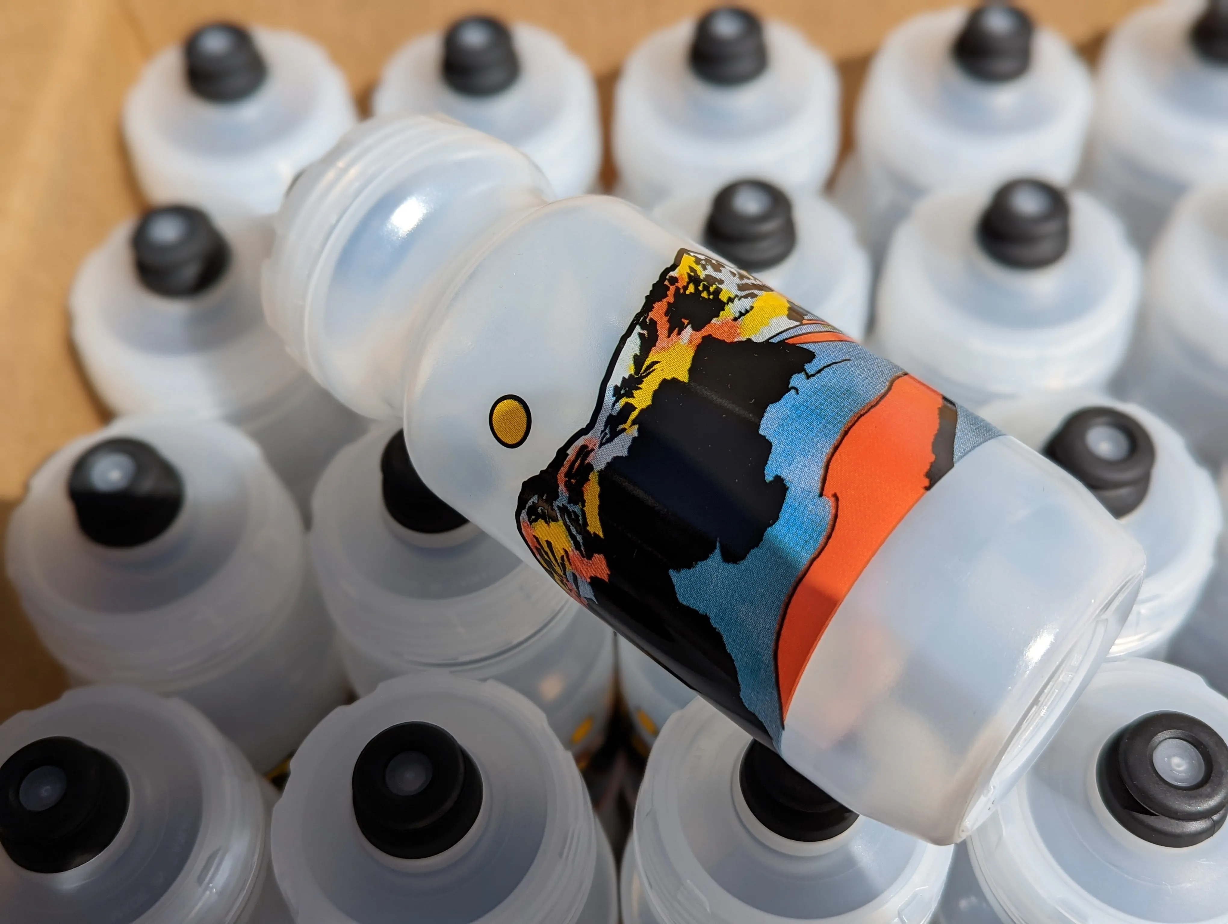 Road to the Sky Water Bottle
