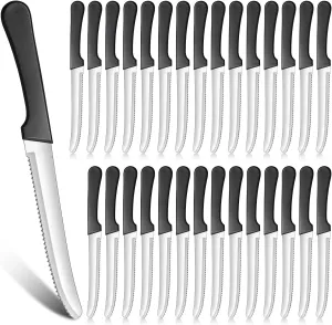 Zhehao 30 Pack Serrated Steak Knives Bulk Stainless Steel Steak Knife Rounded Blade 8.39 Inches Plastic Handle for Home Kitchen Restaurant